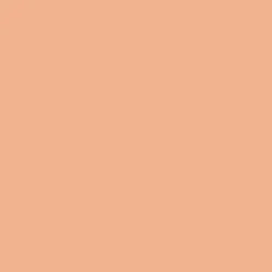 Blooming BB Foundation