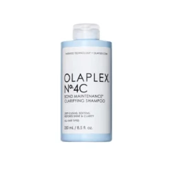 Bond Maintenance Clarifying Shampoo N° 4C