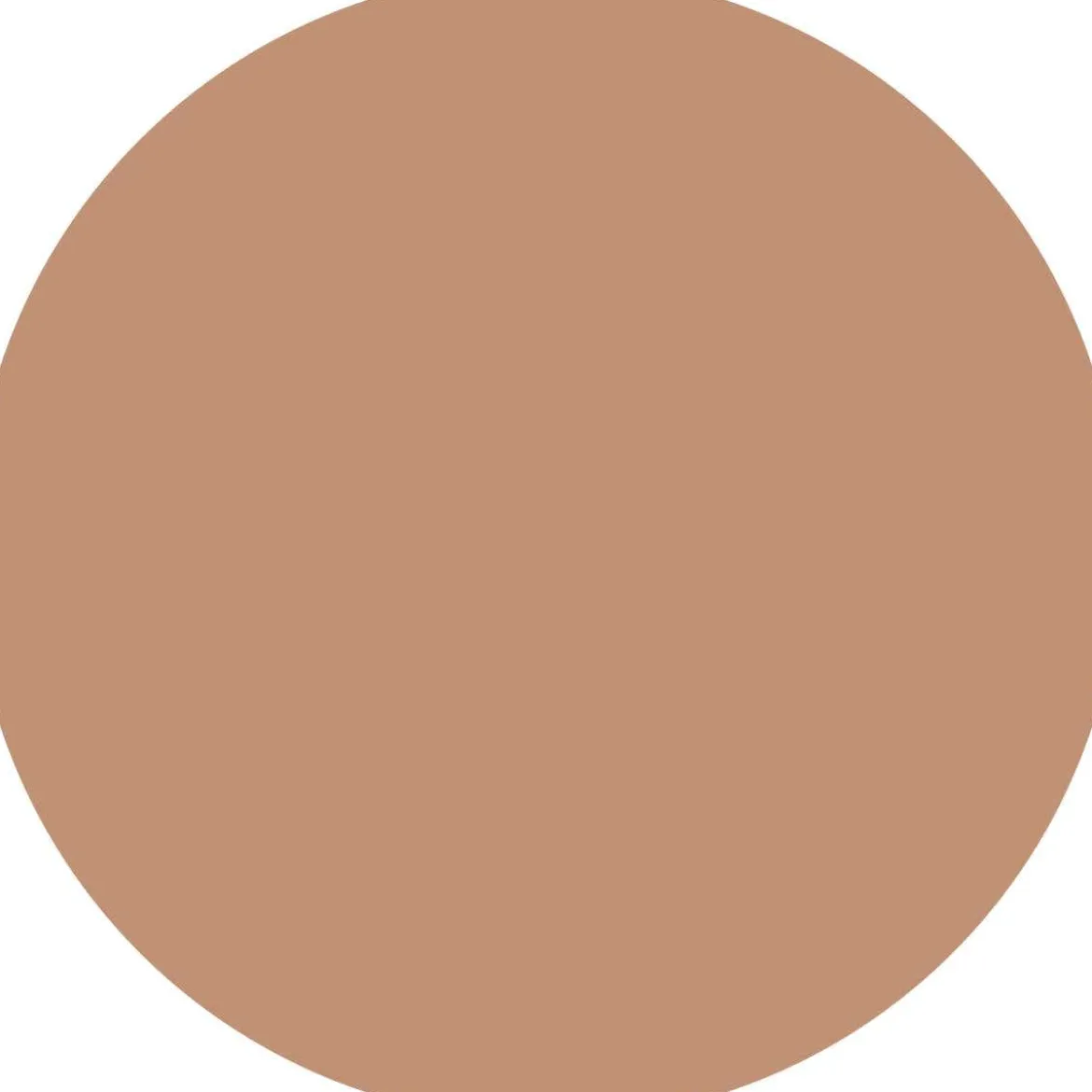 Camouflage+ Matte Correttore