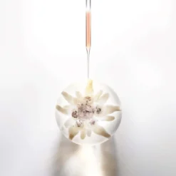 Cellglow Prodigy Cellglow concentrate