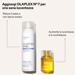 Clean Volume Detox Dry Shampoo N° 4D
