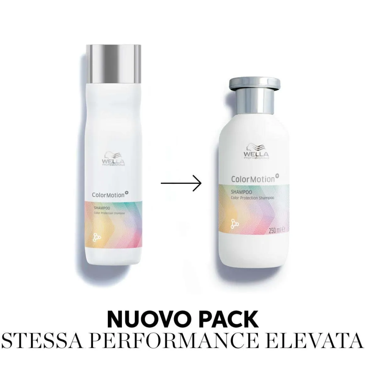 Colormotion+ Color Protection Shampoo