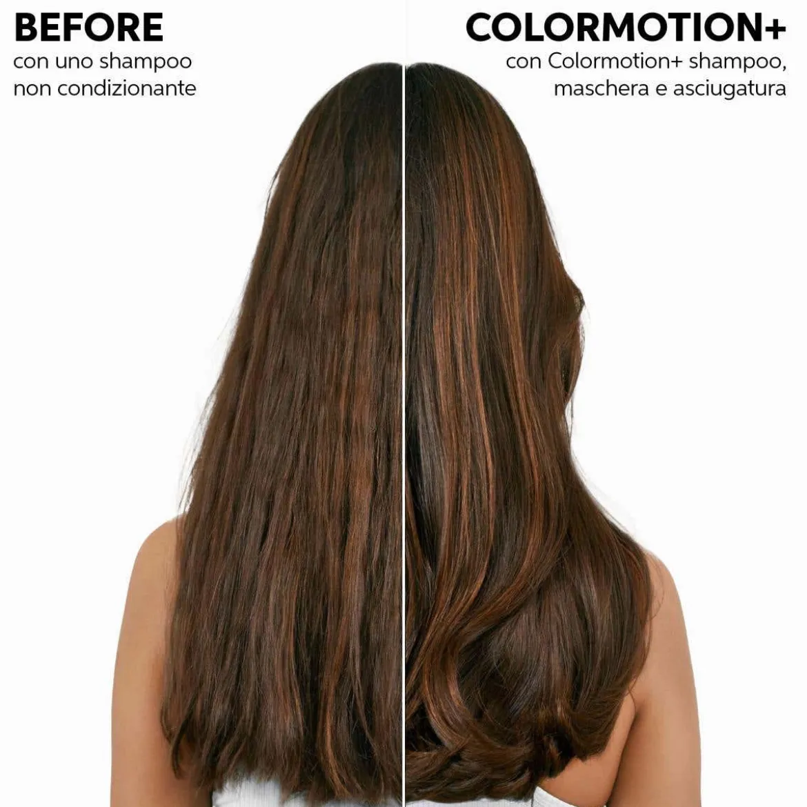 Colormotion+ Color Protection Shampoo