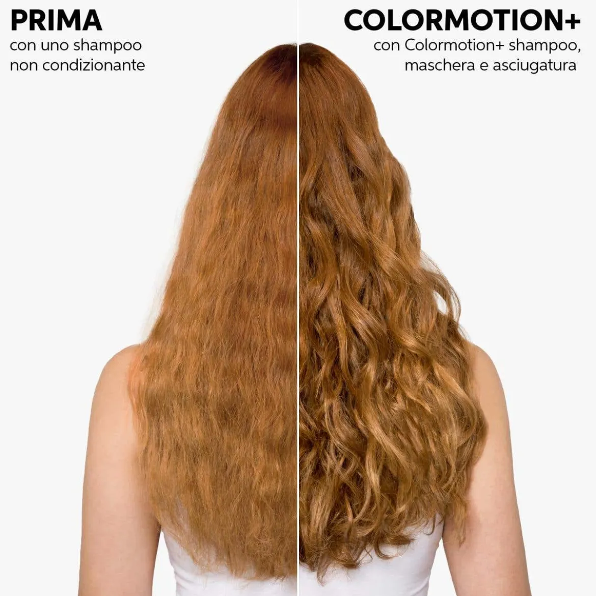 Colormotion+ Conditioner