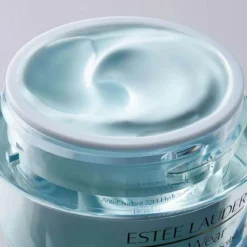 DayWear Moisturizer Antioxidant 72H-Hydration Sorbet Crème