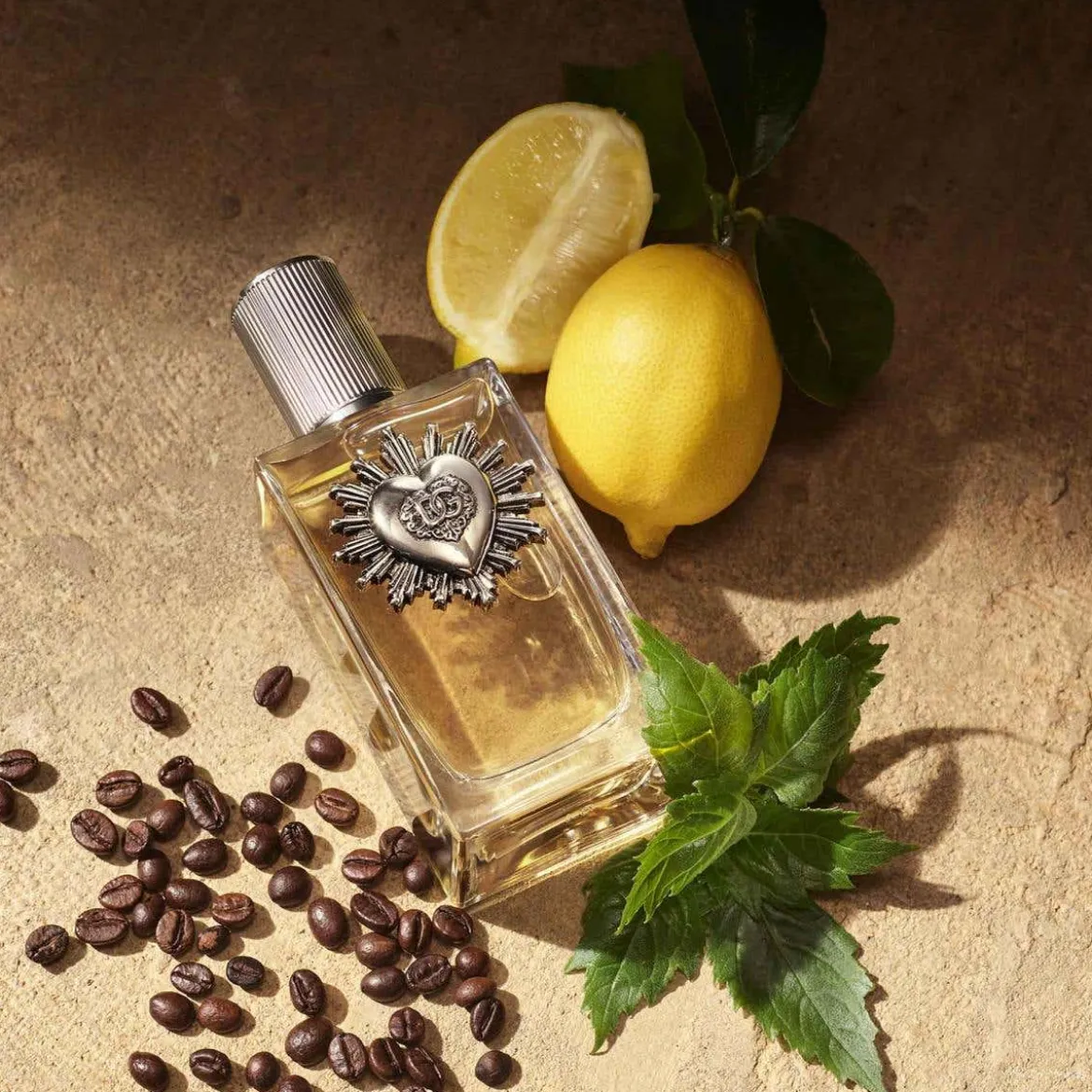 Devotion For Men Eau de Parfum