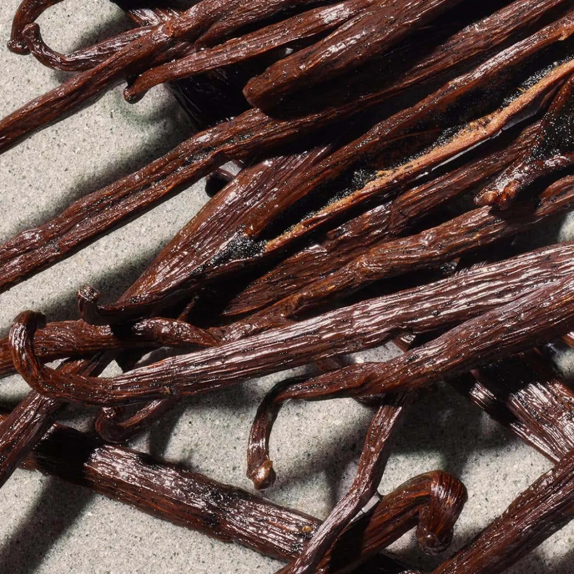 Dolce Violet Eau de Toilette