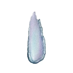 Galactic Shadow