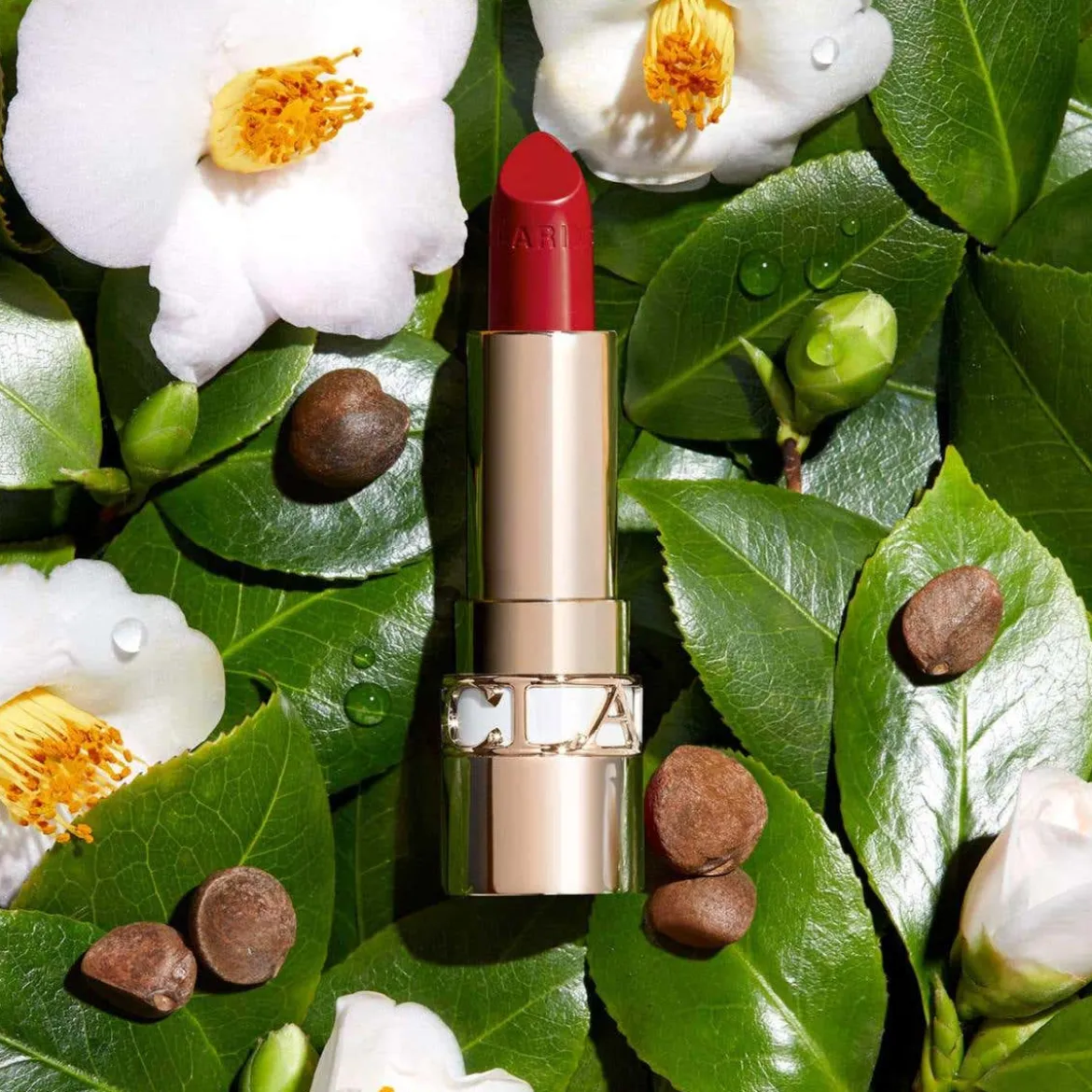 Joli Rouge