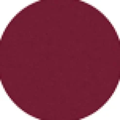 Lasting Plump Lipstick (Refill)