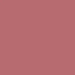 Lip Toy