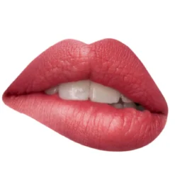 Madame Lip Stylo The Mat