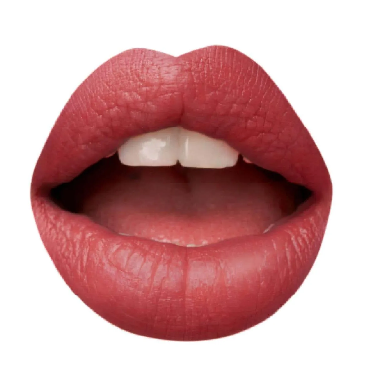 Madame Lip Stylo The Mat