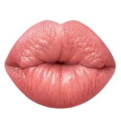 Madame Lip Stylo The Mat