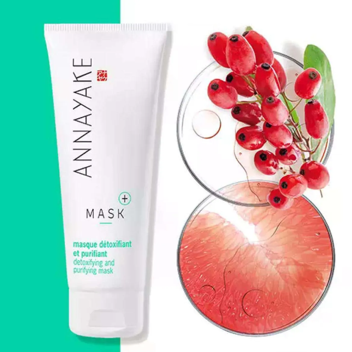 Masque détoxifiant et purifiant