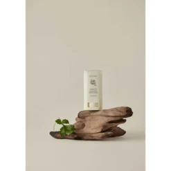 Matte sun stick: mugwort + camilia (SPF 50+ PA++++)