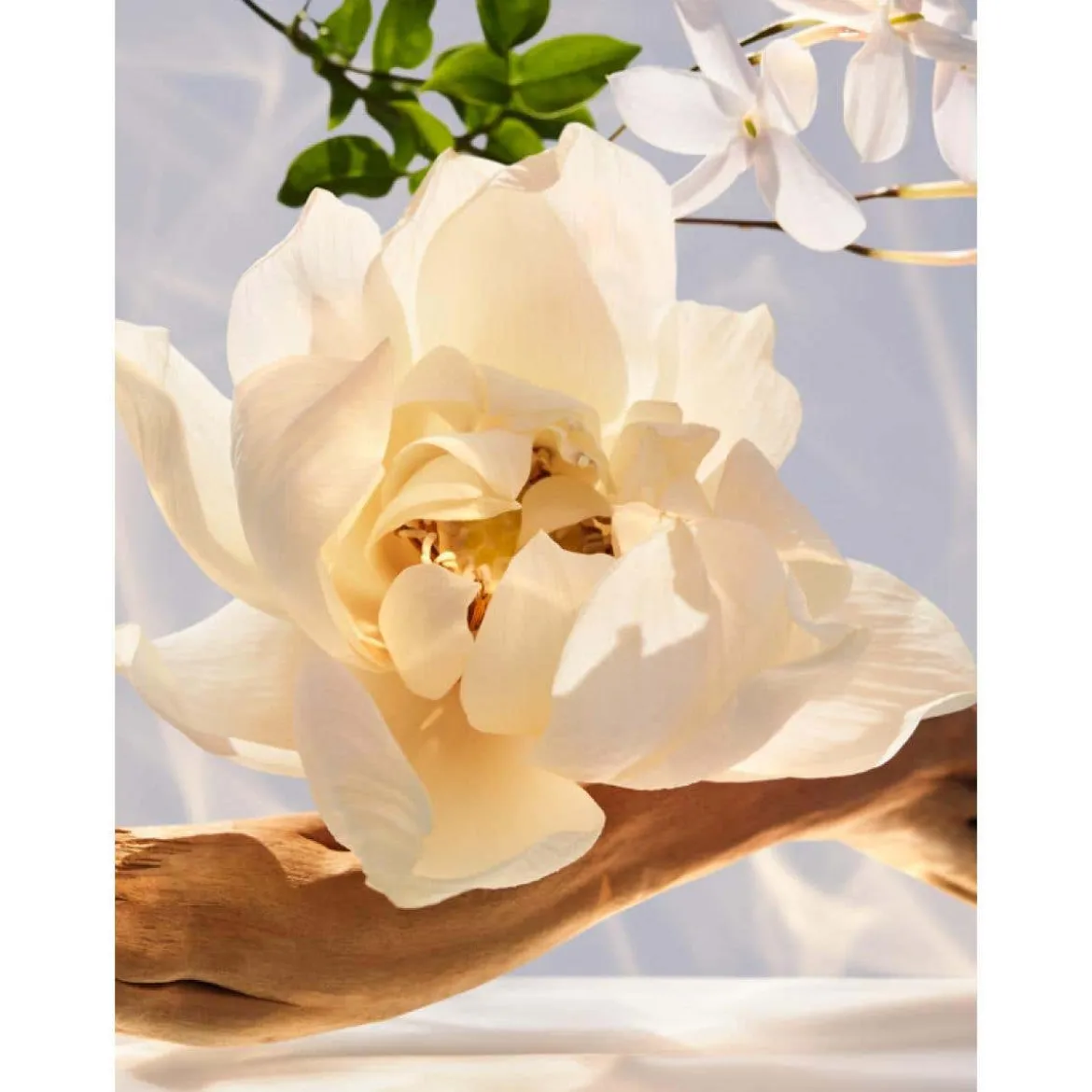 Omnia Crystalline Eau de Parfum