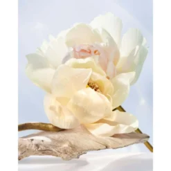Omnia Crystalline Eau de Toilette