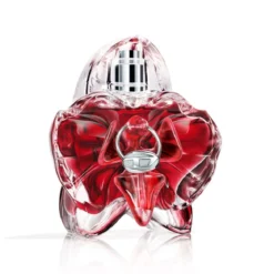 Only Desire Eau de Parfum