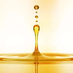 Orofluido Prezioso Olio Di Argan Elixir