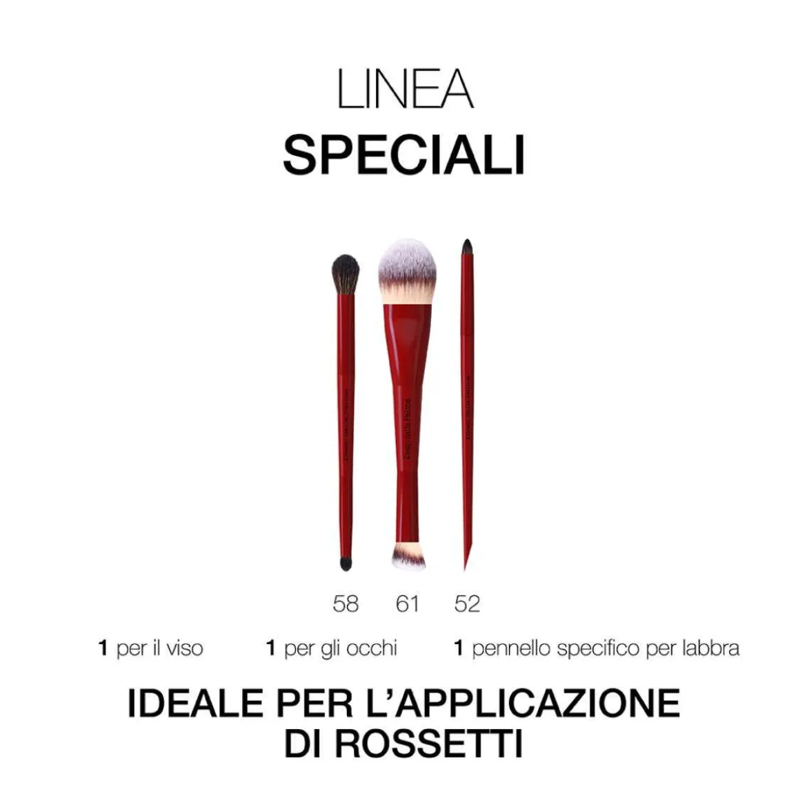Pennello occhi duo