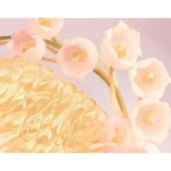 Rose Goldea blossom delight hair mist