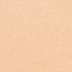 Silk feel Wet & dry Powder Foundation