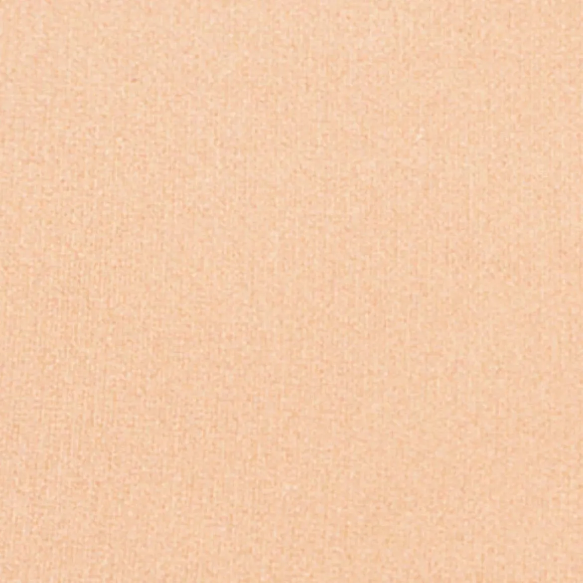Silk feel Wet & dry Powder Foundation