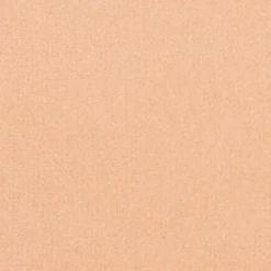 Silk feel Wet & dry Powder Foundation