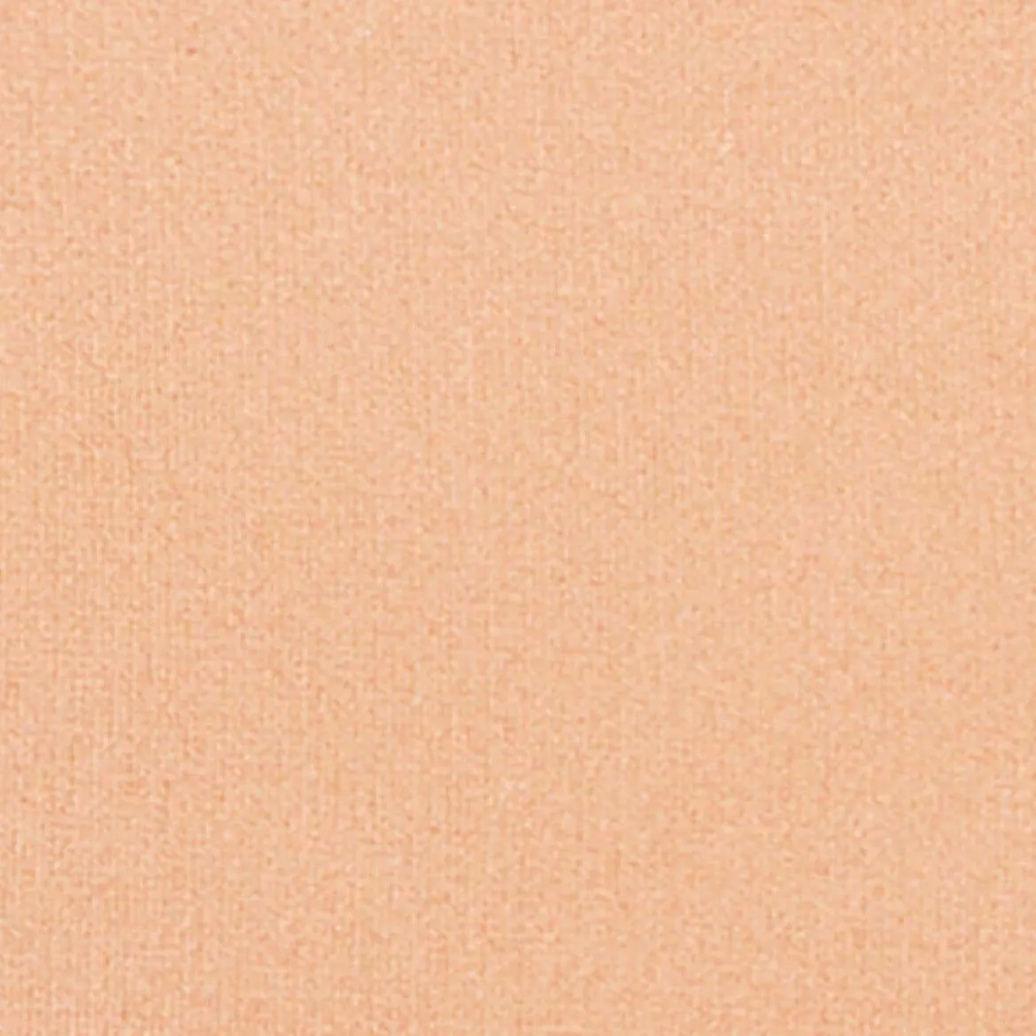 Silk feel Wet & dry Powder Foundation