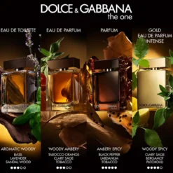 The One For Men Parfum