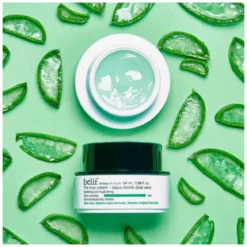 The True Cream Aqua Bomb Aloe Vera