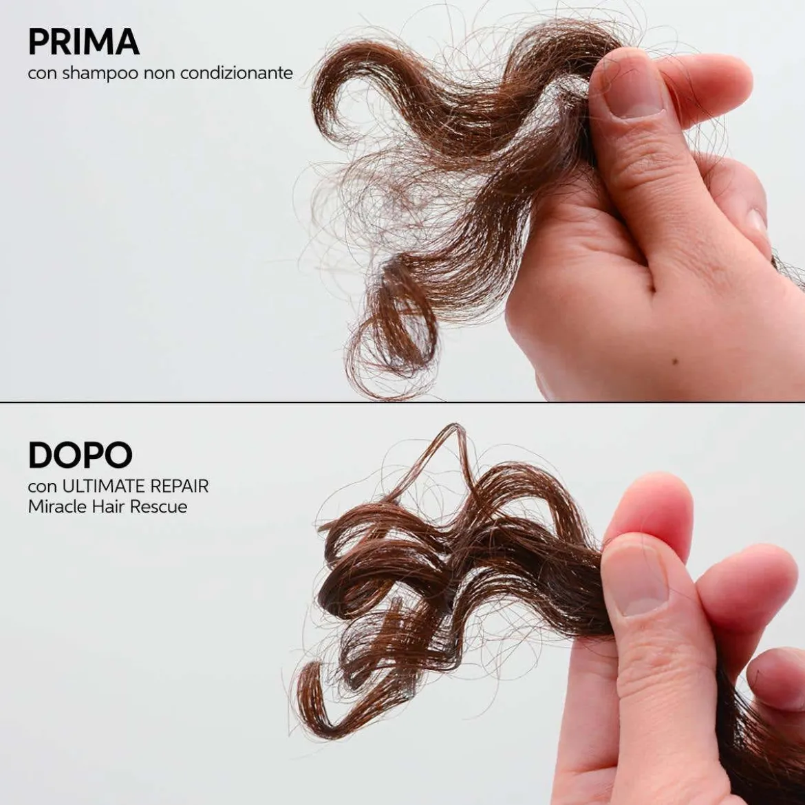 Ultimate Repair Shampoo